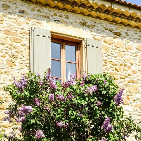 Maison De Charme Avec Piscine Chauffee Pres De Uzes *